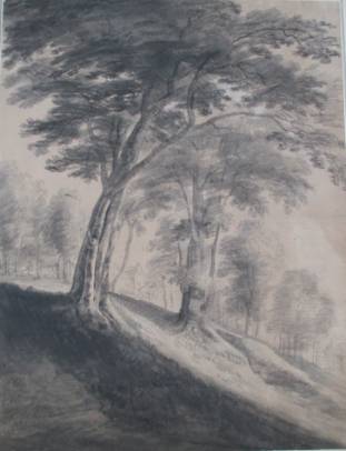 Landscape with Trees on a Slope