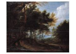 A Wooded Landscape 