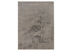 drawings CB:551 Study of a Tree 