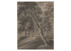 Work 943: Forest Scene with Tree in the Foreground